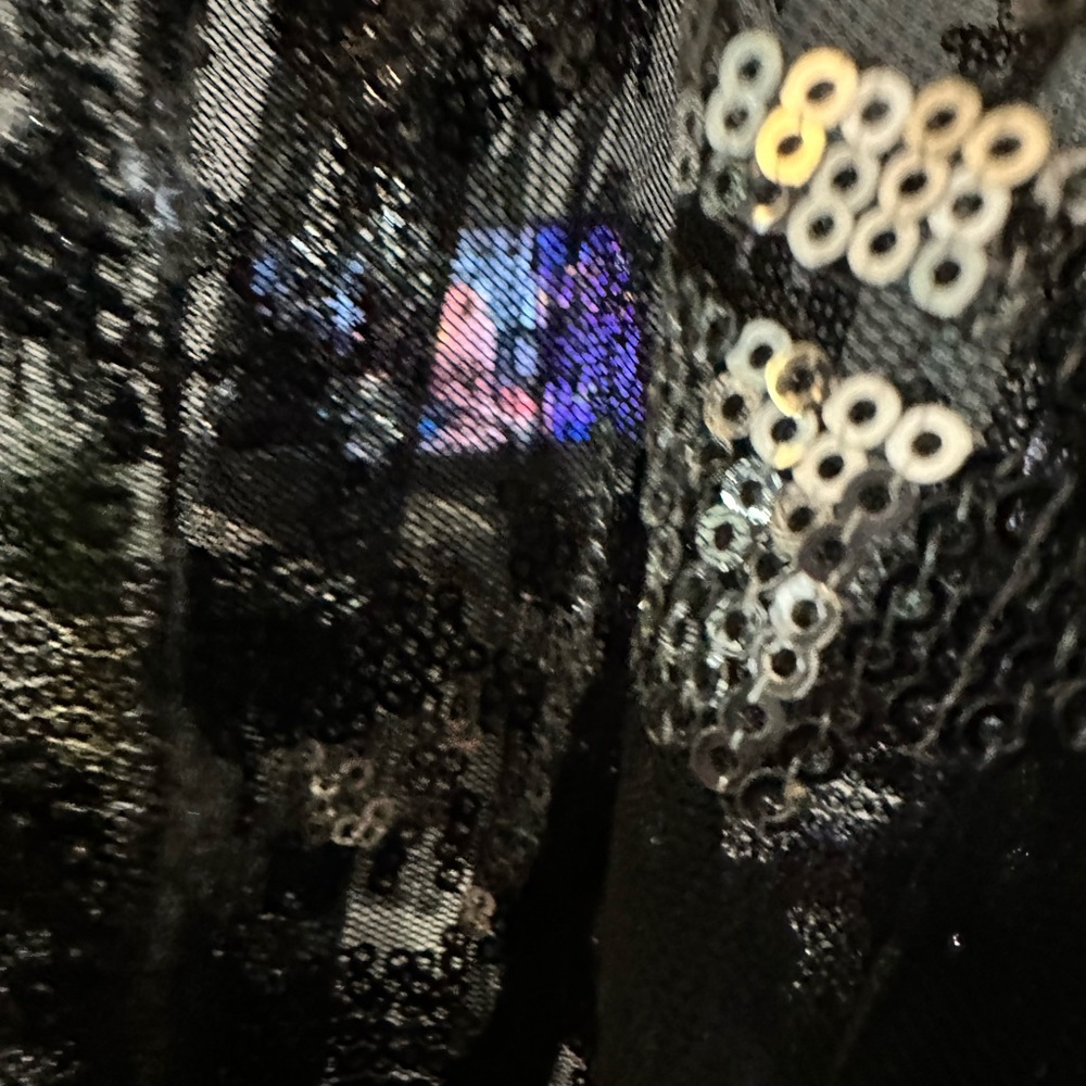 Black & Silver Sequin Mesh Patterned Women's Hare… - image 13